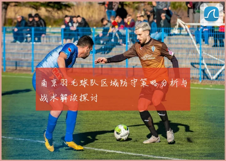 南京羽毛球队区域防守策略分析与战术解读探讨
