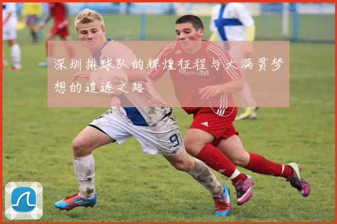 深圳排球队的辉煌征程与大满贯梦想的追逐之路