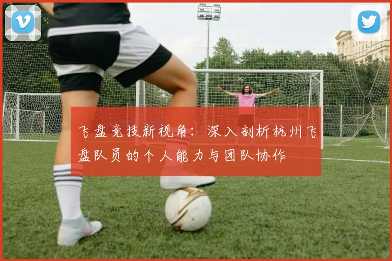 飞盘竞技新视角：深入剖析杭州飞盘队员的个人能力与团队协作